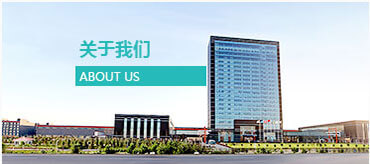 爱游戏体育在线入口